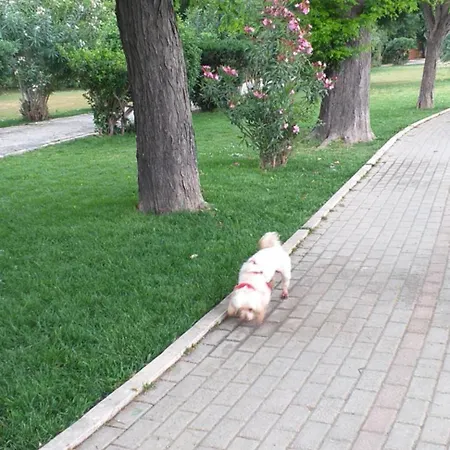 Διαμέρισμα Christy Corfu (city)